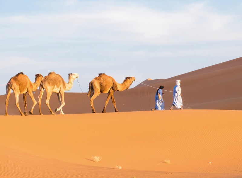 Product 2 overnachtingen in de woestijn van Marokko | Privé tour 4WD tour Marrakech – M’hamid – Chegaga 160 km een échte woestijn belevenis 