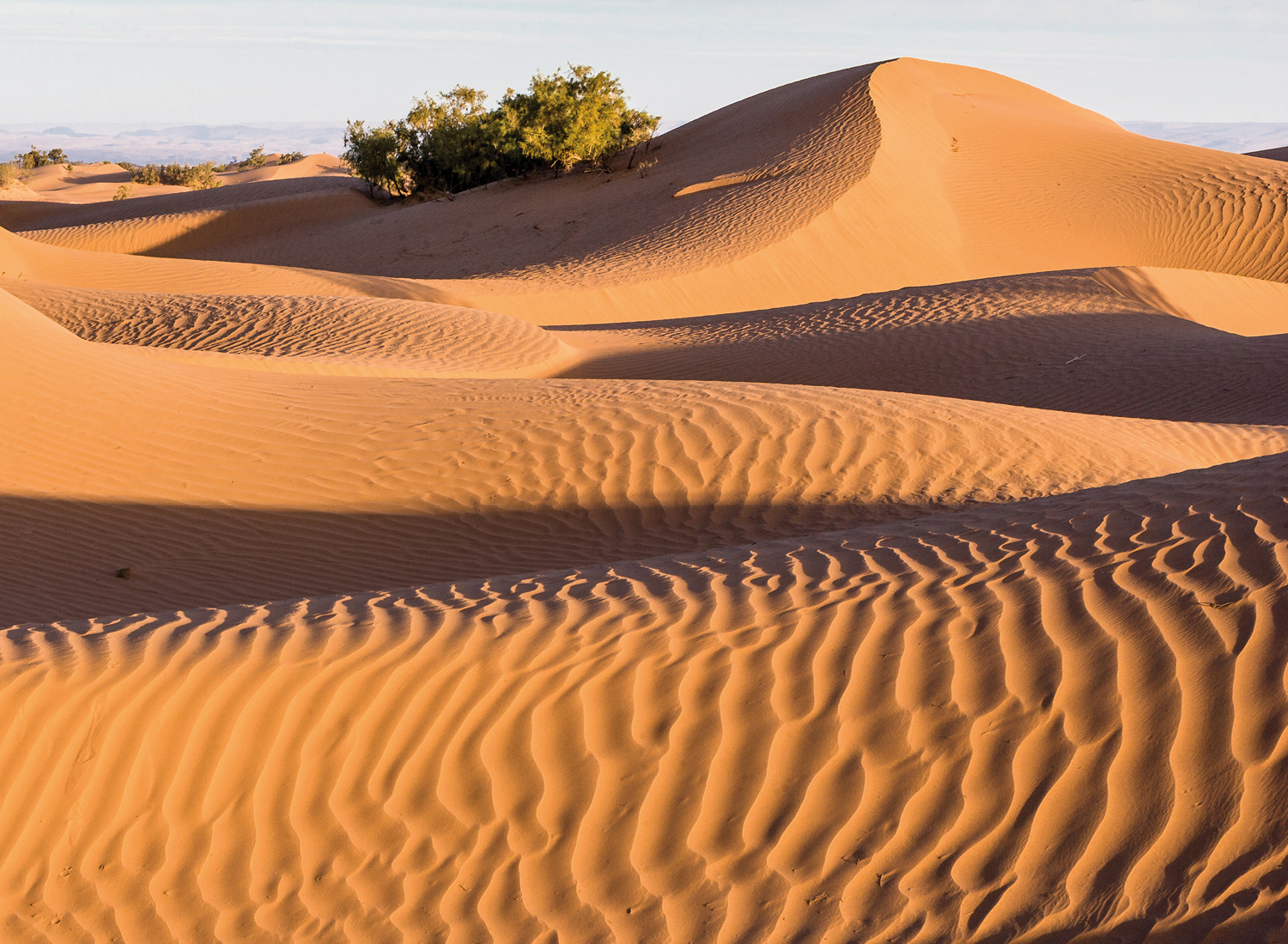 Avontuurlijke 2 daagse privé tour Marrakech – Mhamid | Slapen in de échte woestijn van Marokko en kamelentocht in de Sahara 