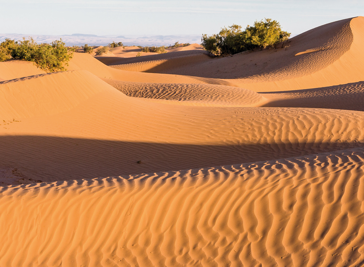 Privétour naar de woestijn van M’hamid en Chegaga via koningsstad Marrakech en filmstad Ouarzazate